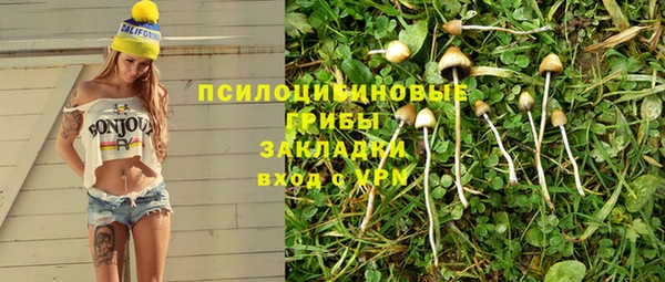 a pvp Алзамай