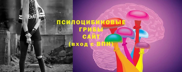a pvp Алзамай