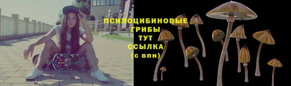 a pvp Алзамай