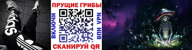 маркетплейс состав  Гаврилов Посад  Галлюциногенные грибы Psilocybine cubensis 